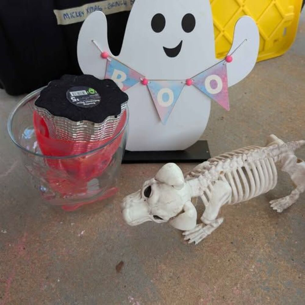 Halloween Decor Bundle